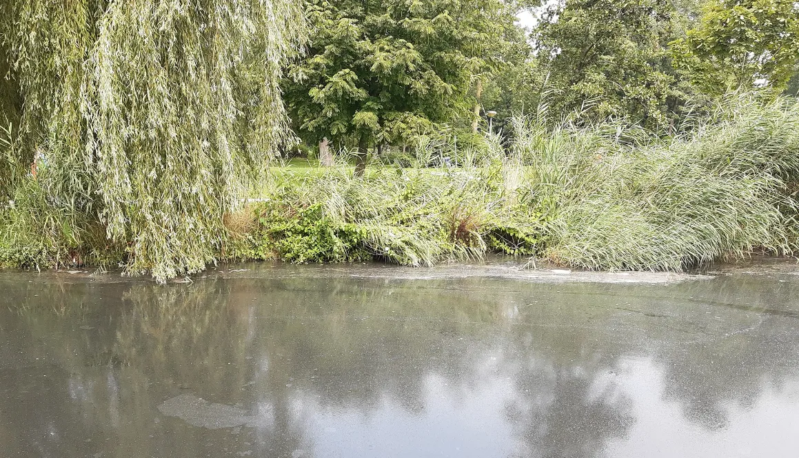 screenshot 20200818 181811