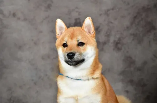 screenshot 20200908 125846