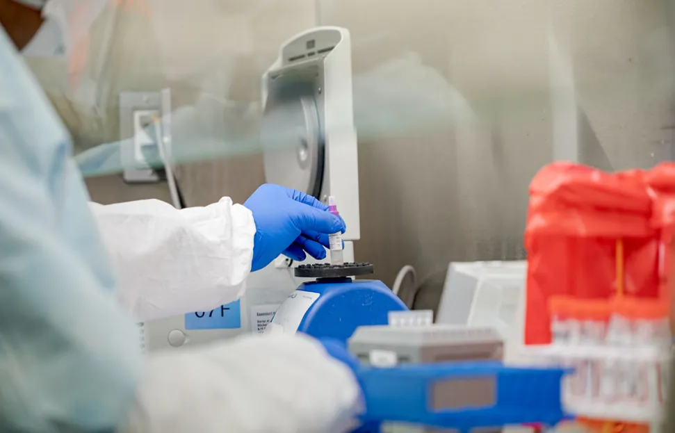 screenshot 20200929 152817