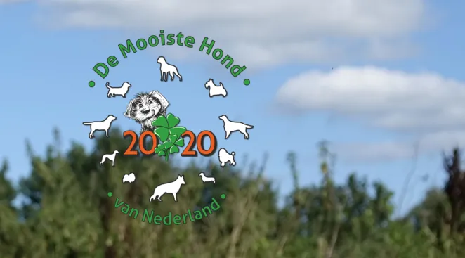 screenshot 20201009 112516