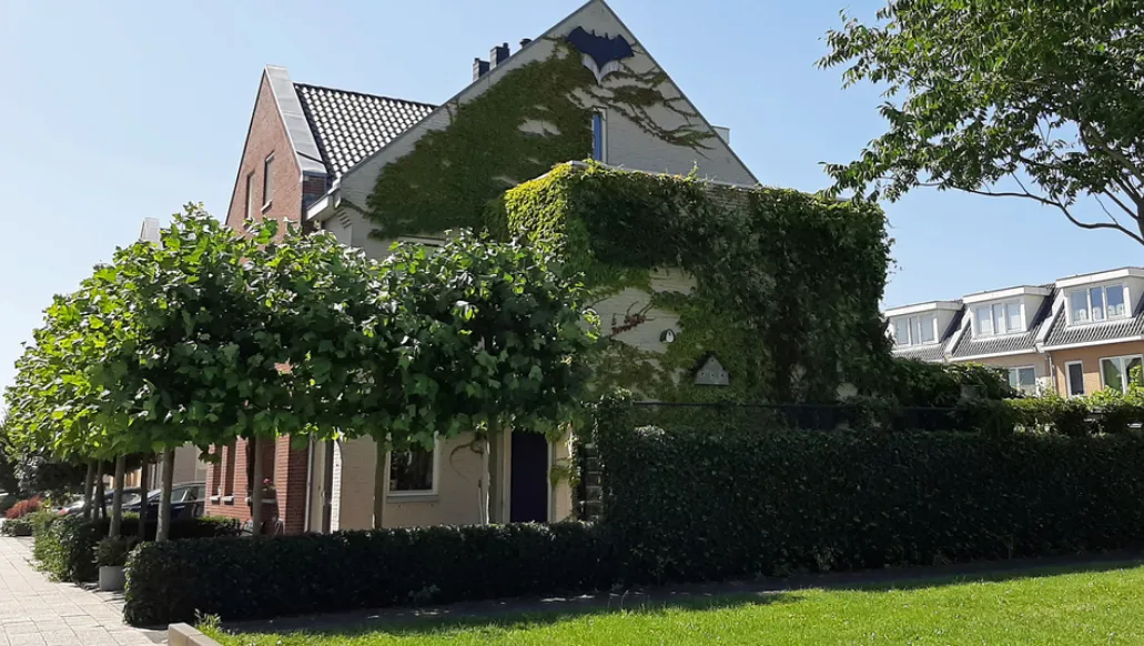 screenshot 20201010 125553