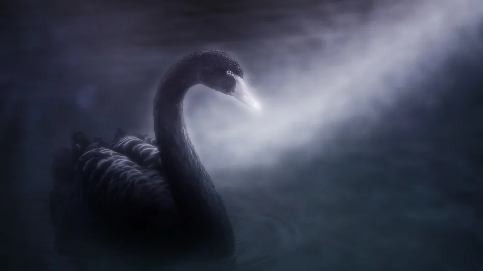 screenshot 20201030 114444