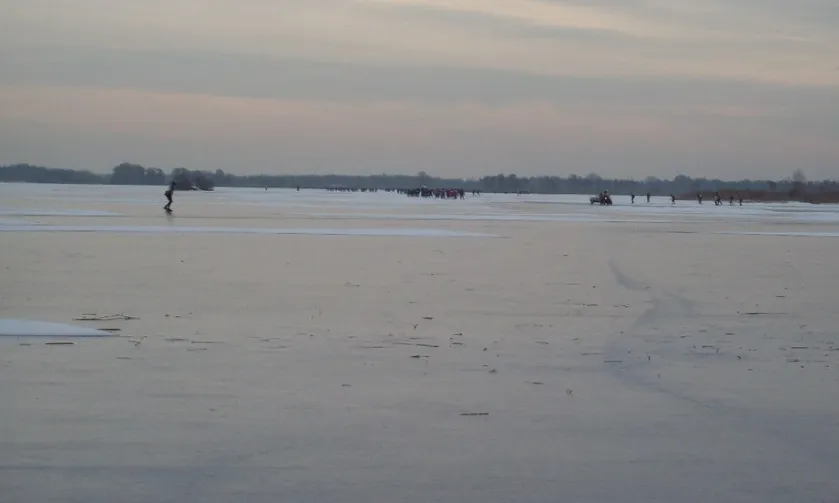 screenshot 20201115 083829