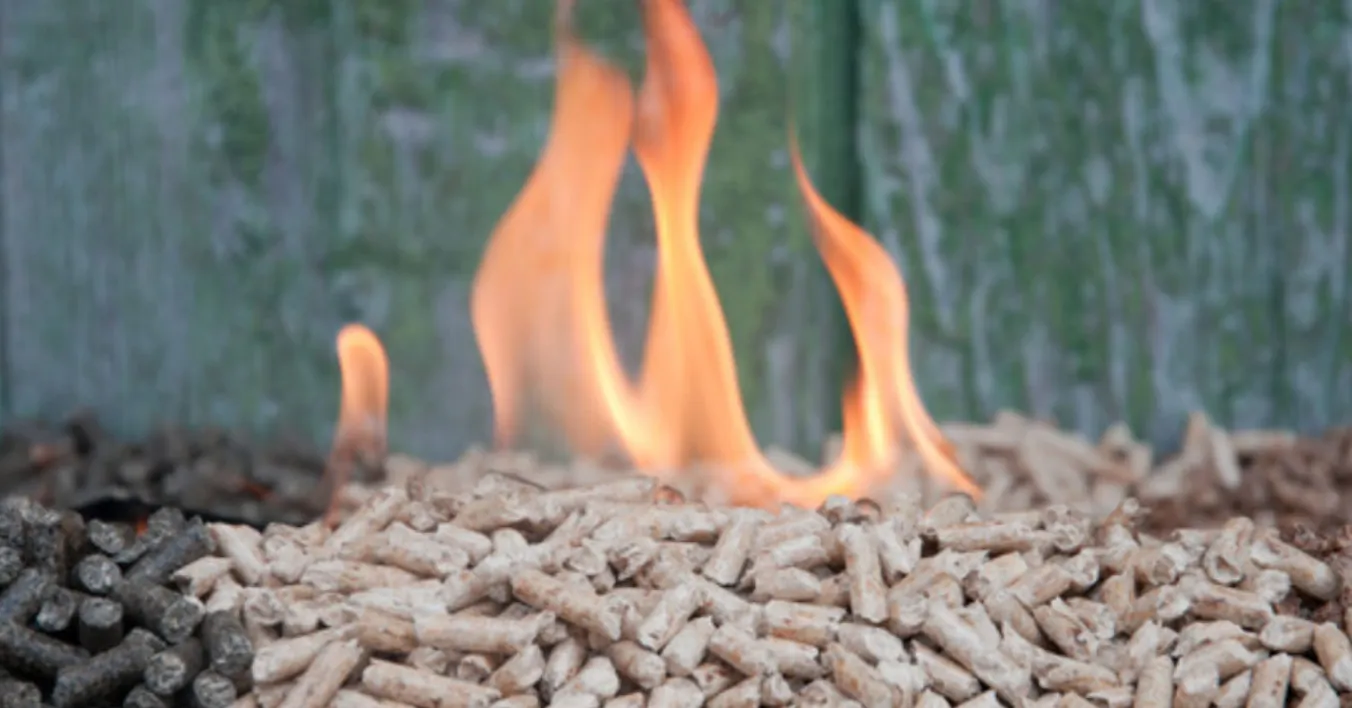 screenshot 20201126 062446