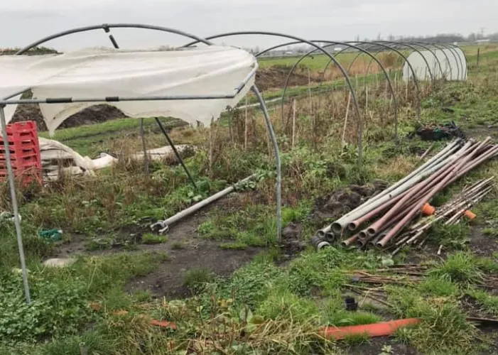 screenshot 20201203 103055