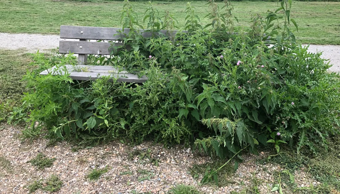 screenshot 20201210 091316