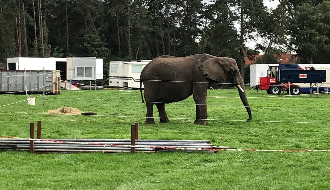 screenshot 20201214 114203