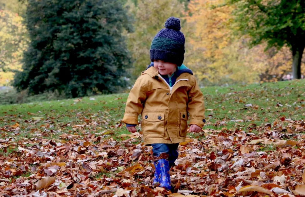 screenshot 20201215 075435