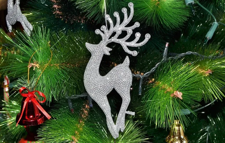 screenshot 20201215 084047