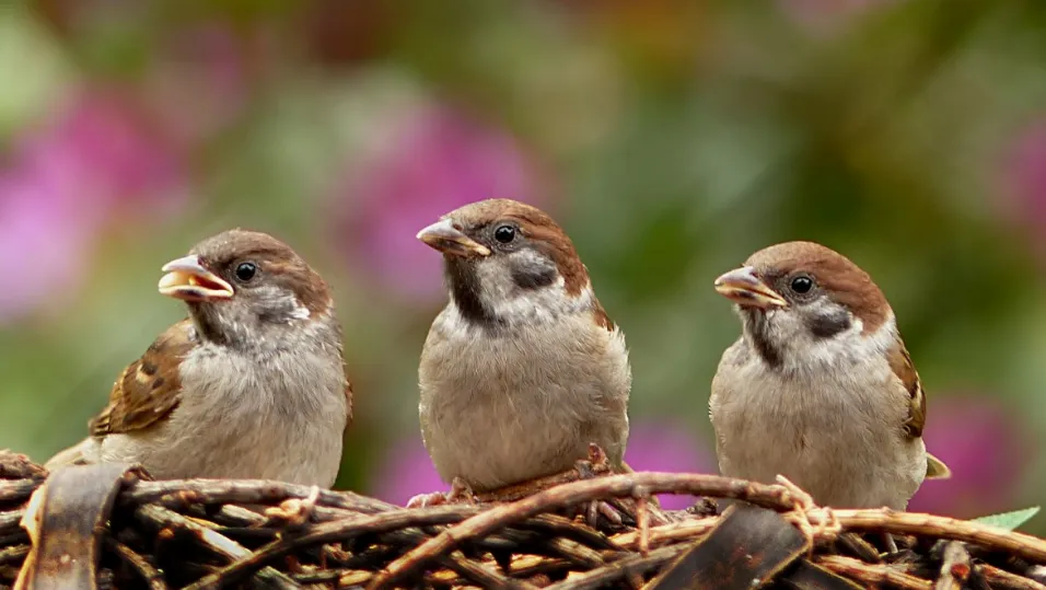 screenshot 20201215 135511