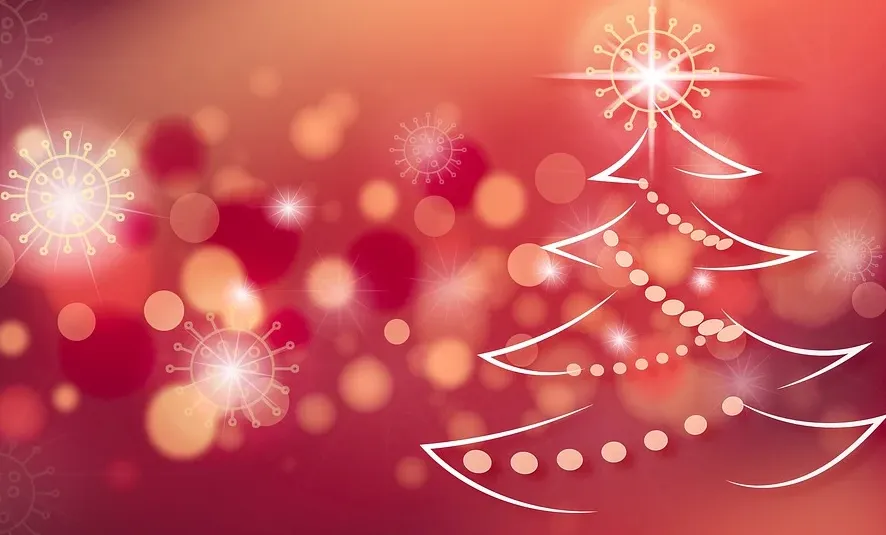 screenshot 20201219 133712