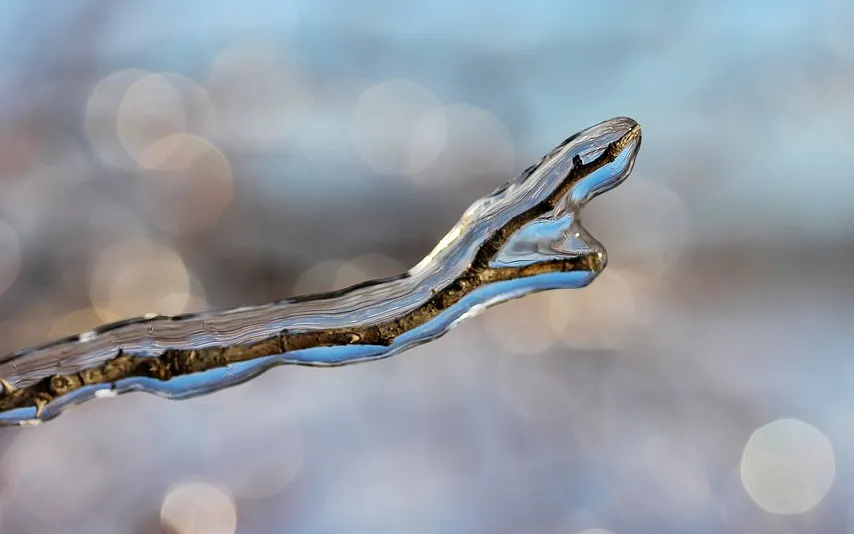 screenshot 20210109 101825