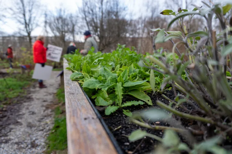 screenshot 20210112 111216