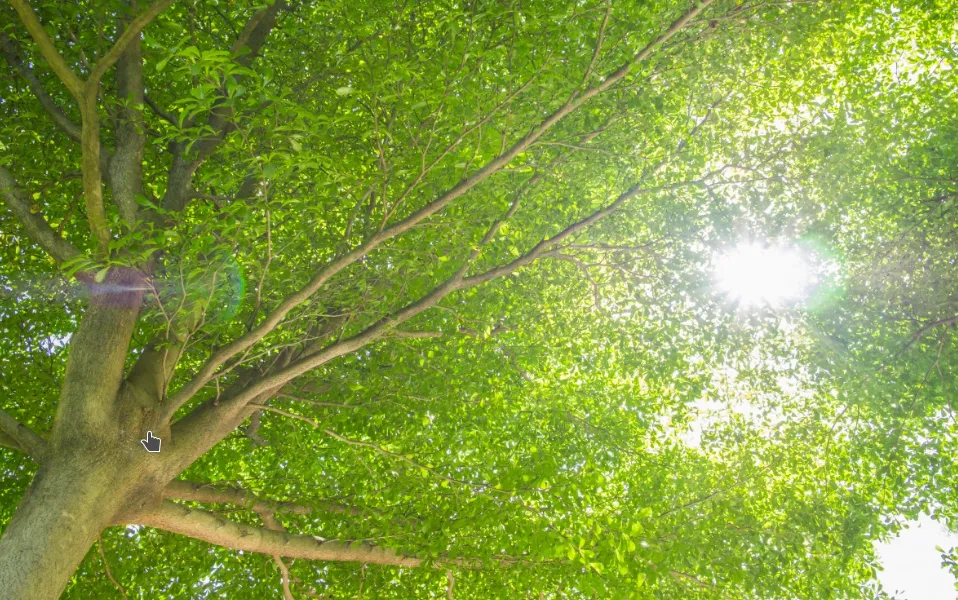 screenshot 20210122 102926