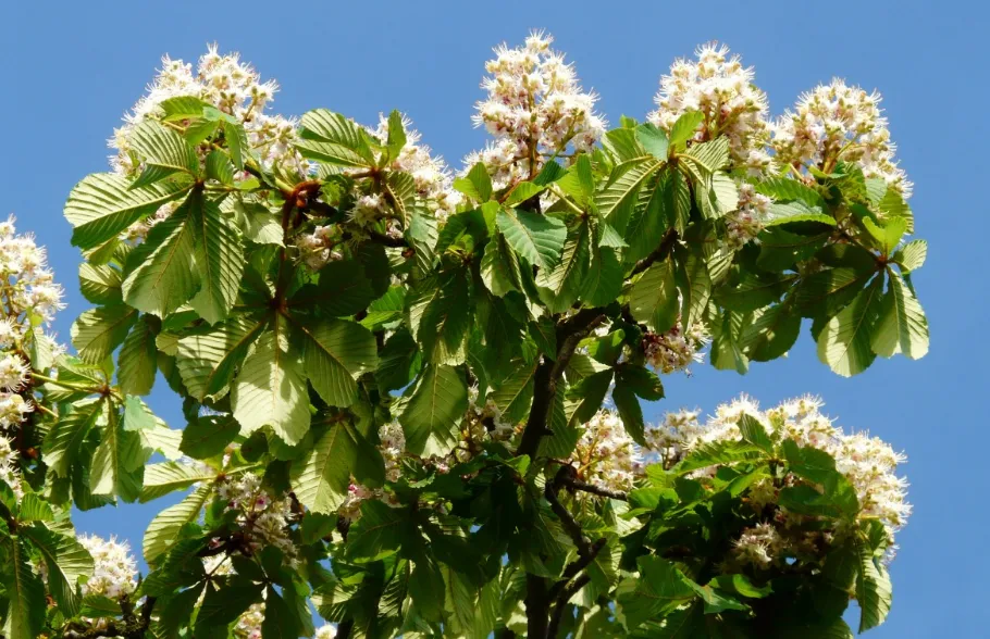 screenshot 20210127 120421