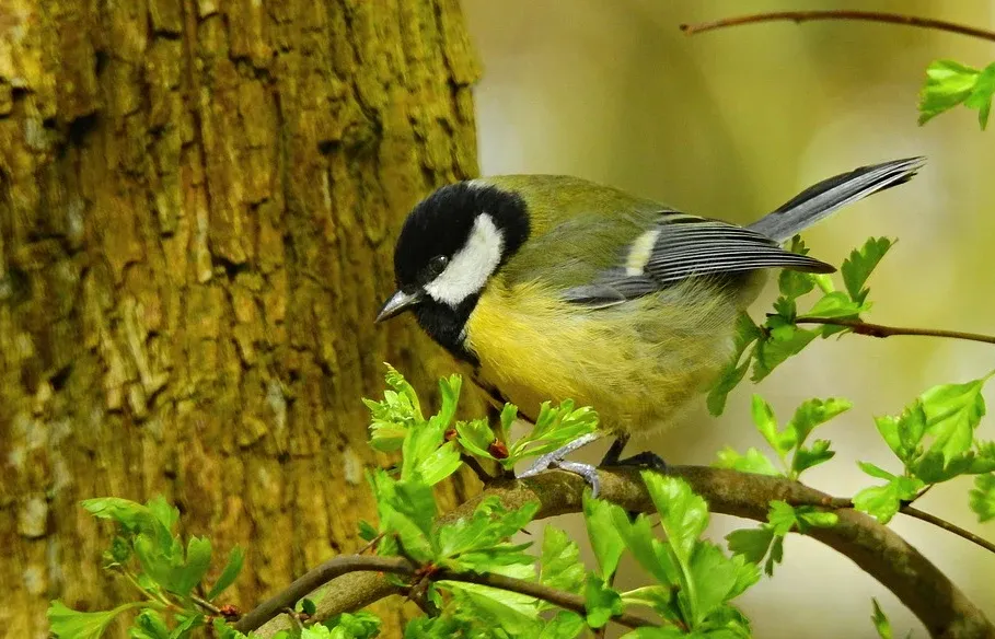 screenshot 20210129 105452