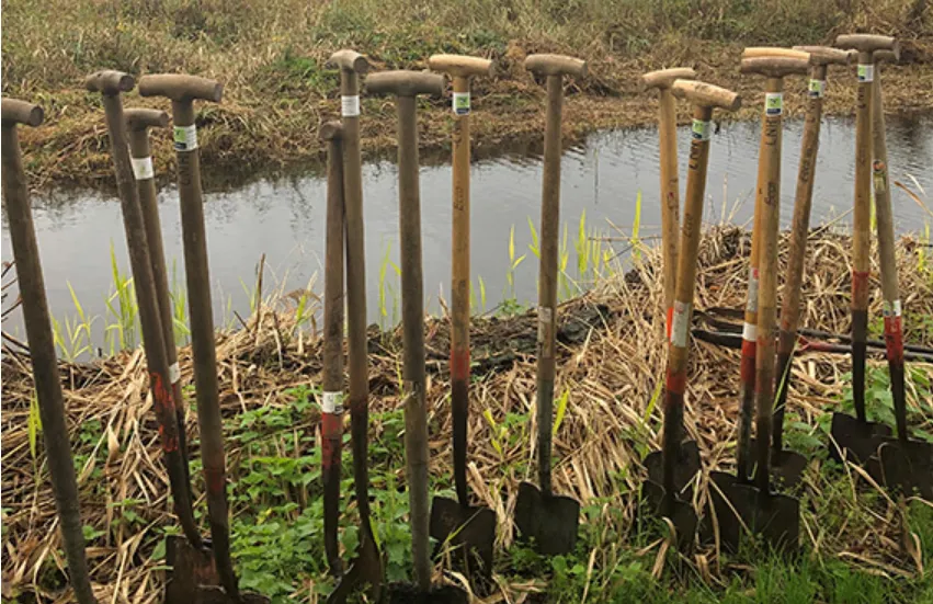 screenshot 20210202 125120