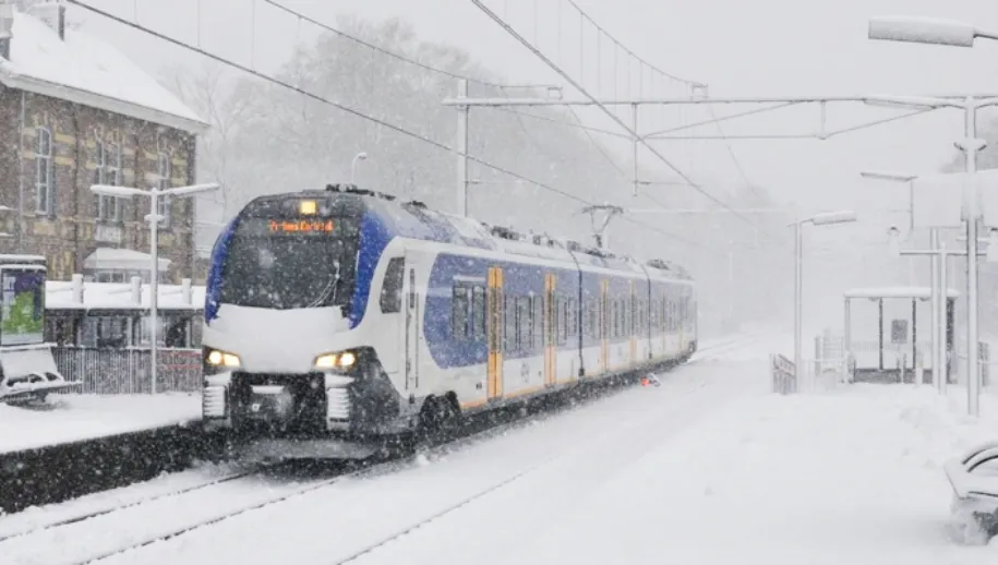 screenshot 20210205 131111 915x518 1