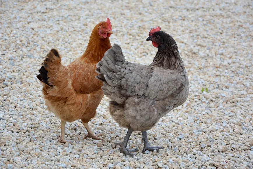 screenshot 20210209 100641