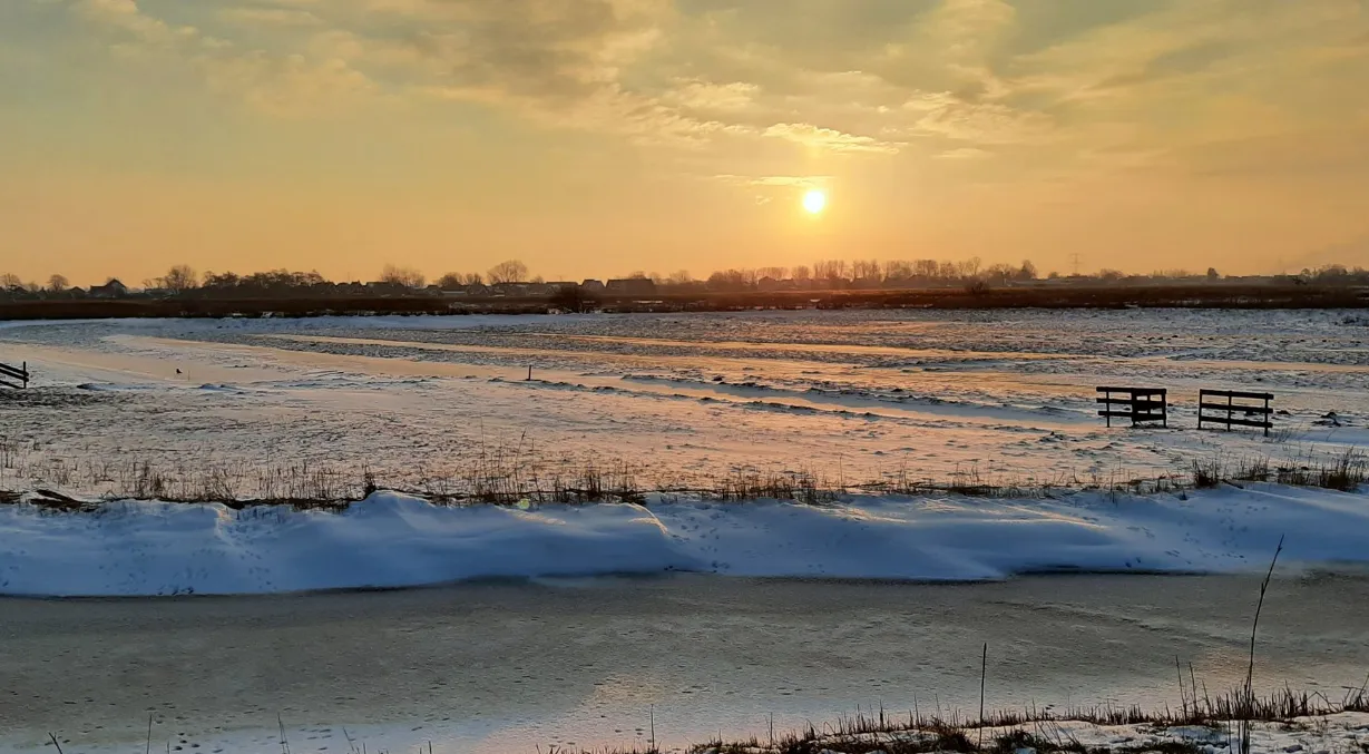 screenshot 20210214 110634