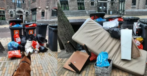 screenshot 20210216 101235