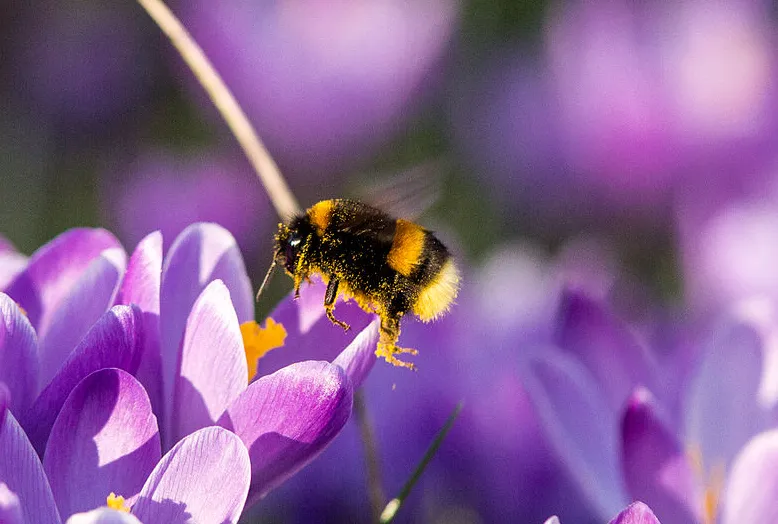 screenshot 20210225 085526