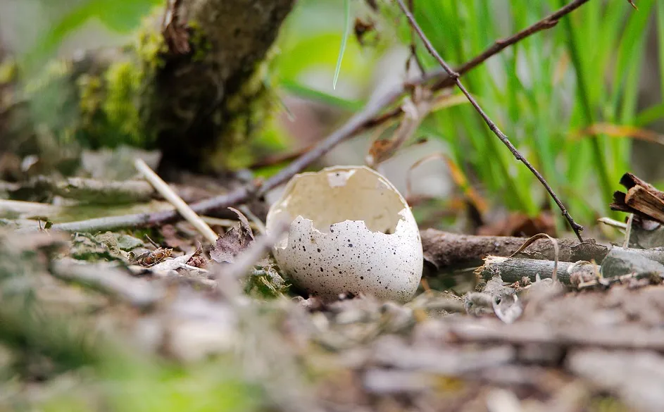 screenshot 20210307 112551