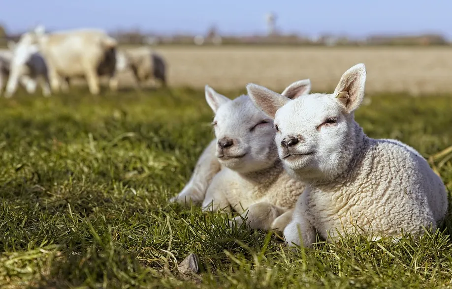 screenshot 20210328 141209