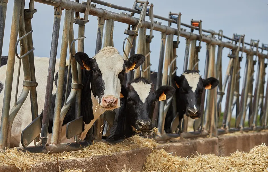 screenshot 20210405 100355