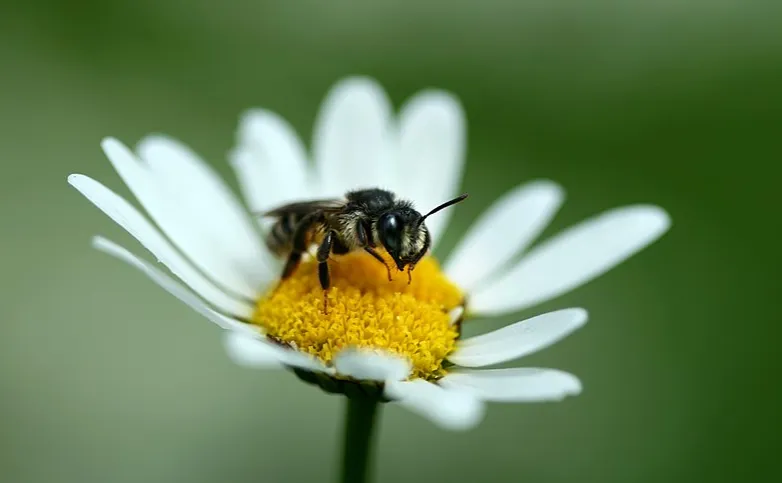 screenshot 20210418 075720