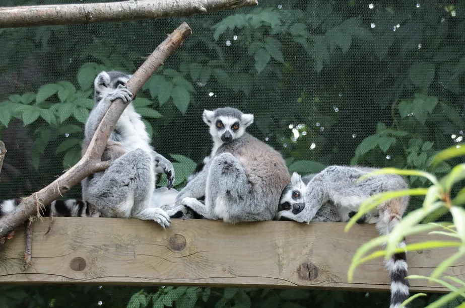 screenshot 20210517 130529