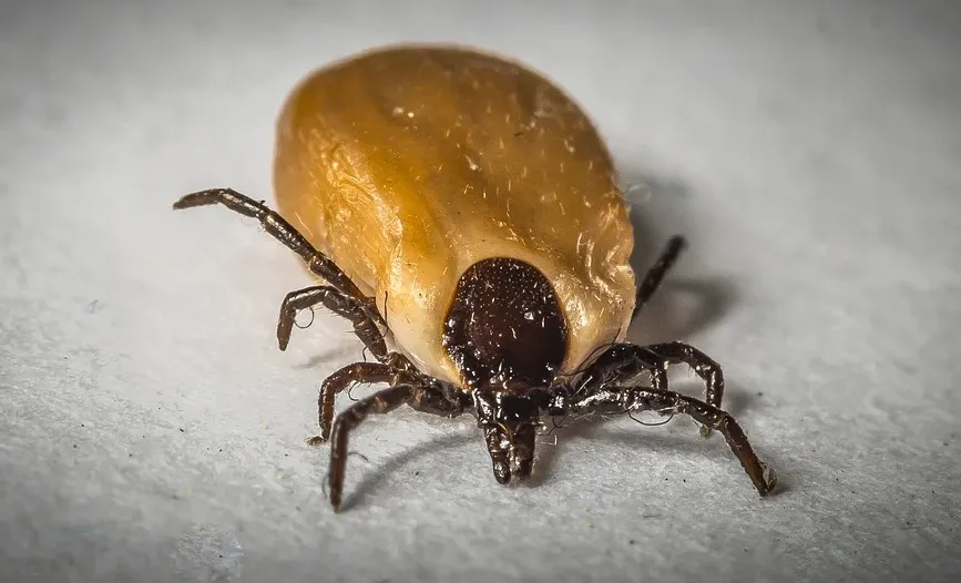 screenshot 20210520 103303