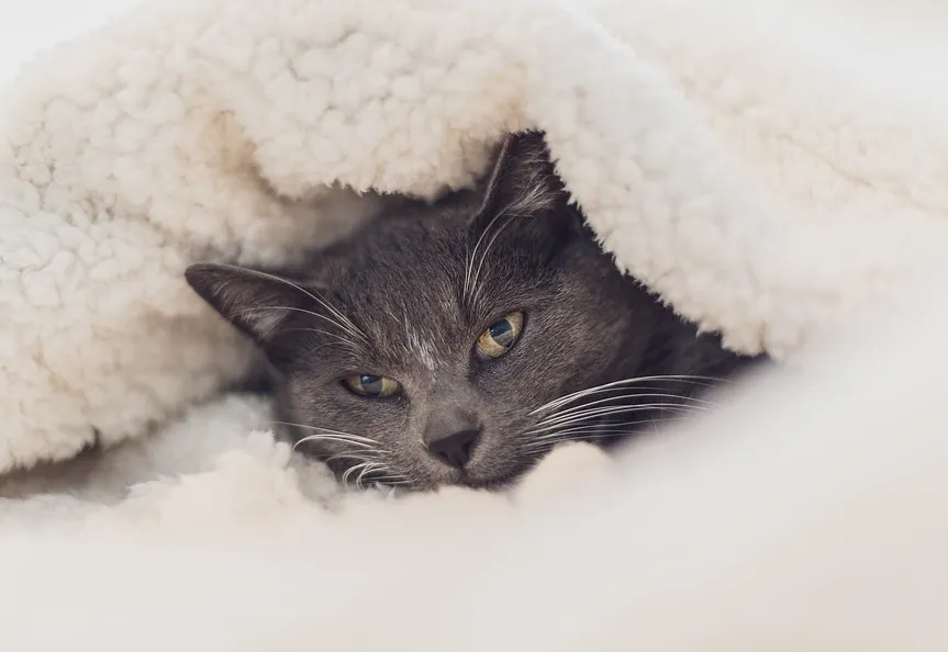 screenshot 20210523 095907