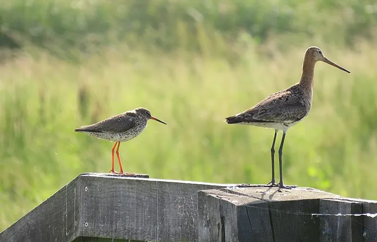 screenshot 20210530 104608