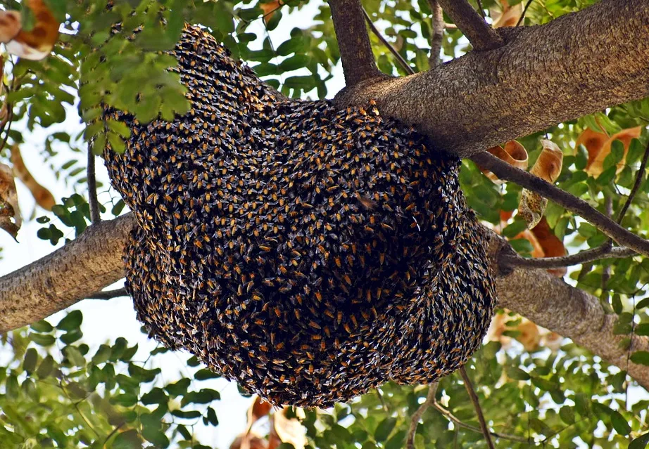 screenshot 20210530 132317