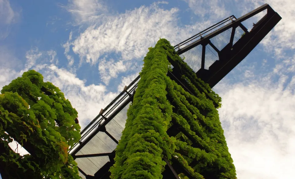 screenshot 20210602 152629