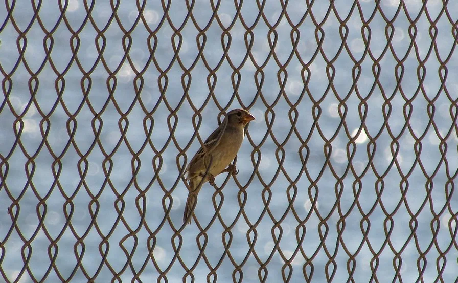 screenshot 20210604 151000