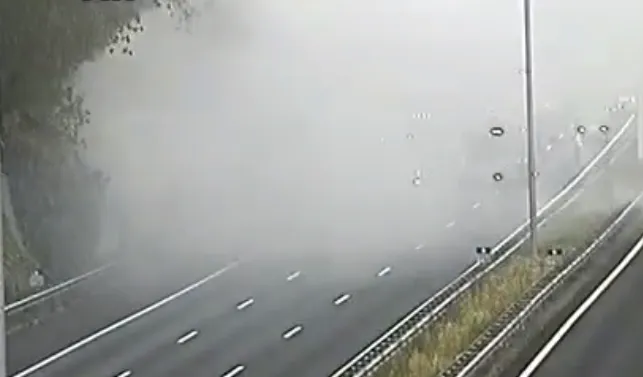 screenshot 20210611 082254