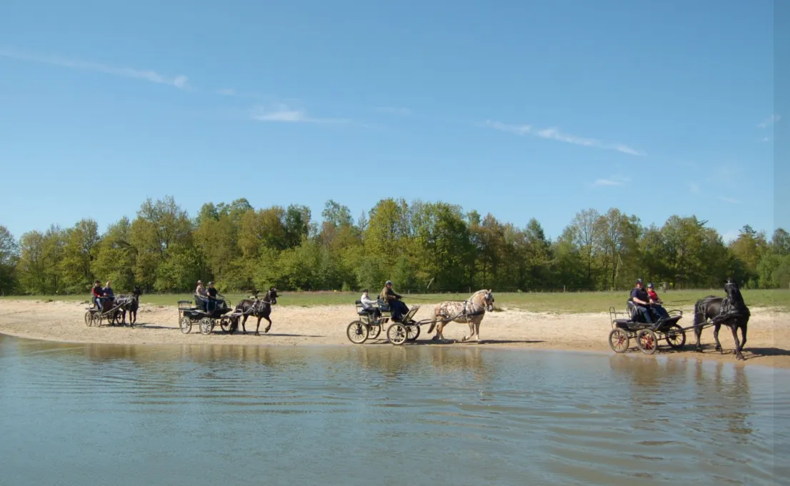 screenshot 20210620 095819