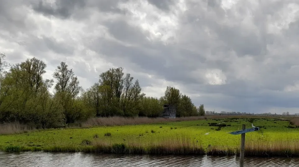 screenshot 20210630 082423