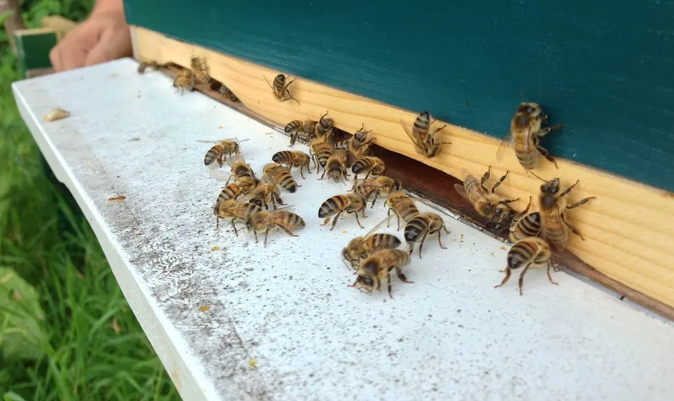 screenshot 20210630 095235