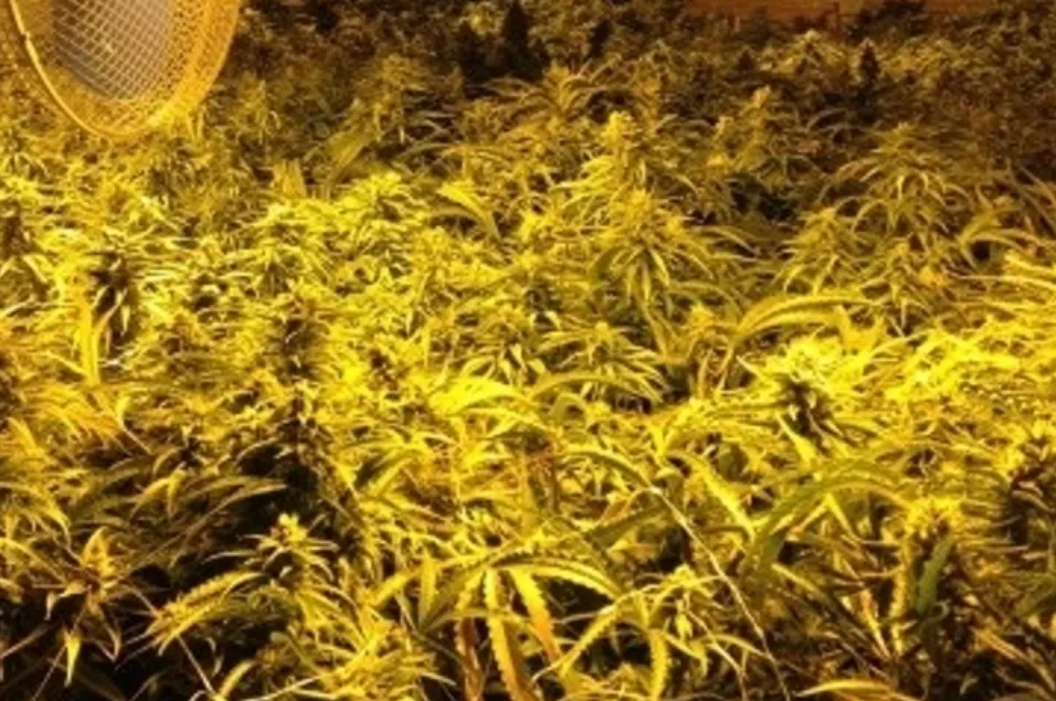 screenshot 20210706 162753