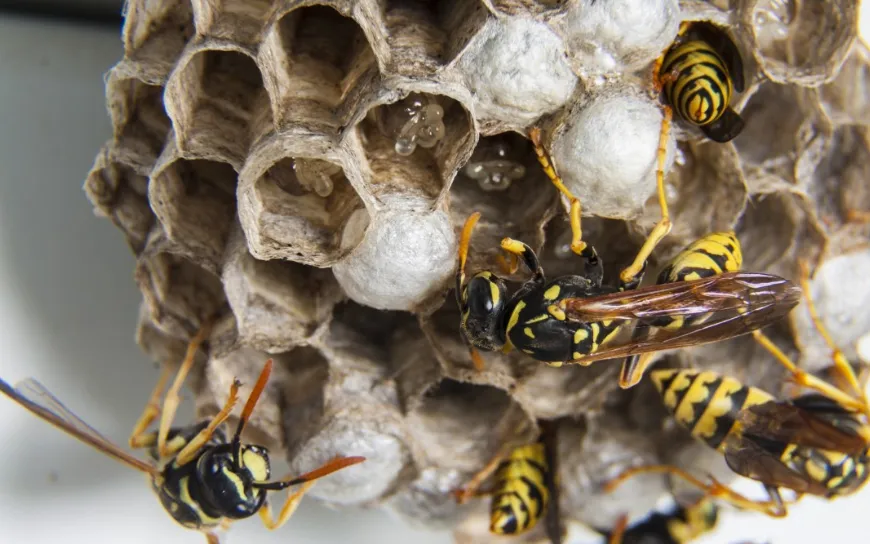 screenshot 20210712 113429