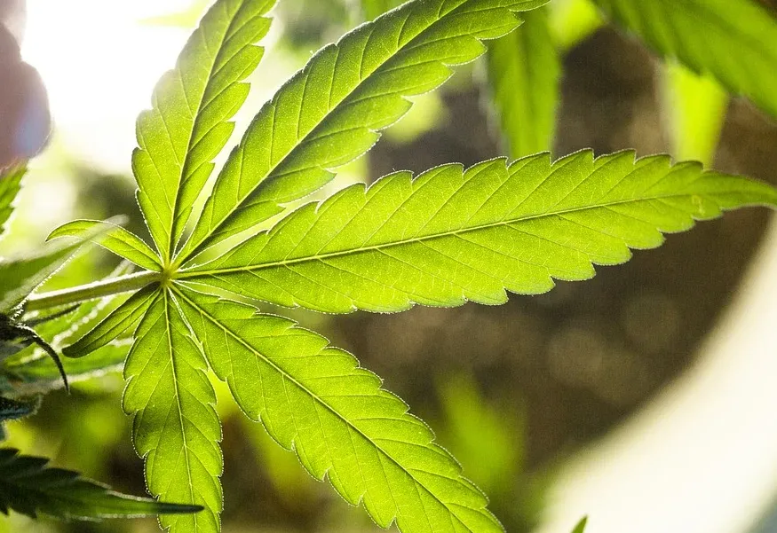 screenshot 20210714 091119