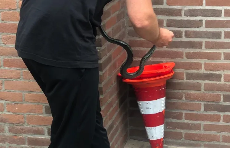 screenshot 20210715 141309