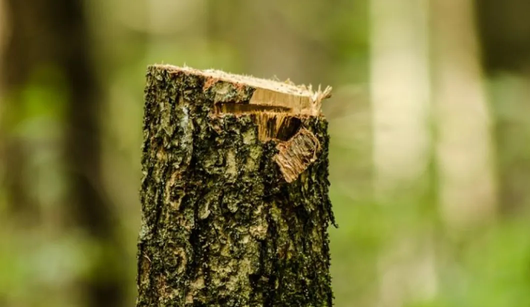 screenshot 20210719 103015