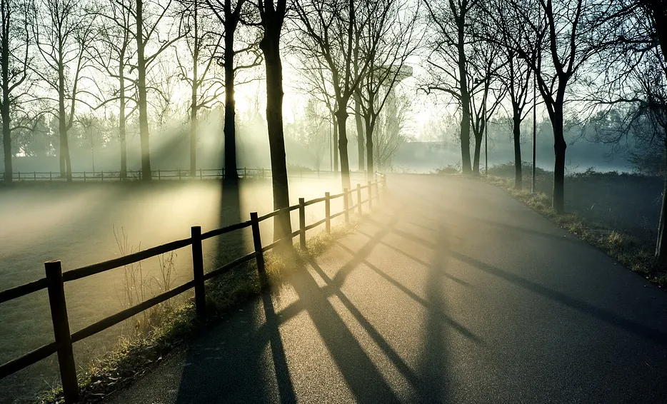 screenshot 20210720 130224