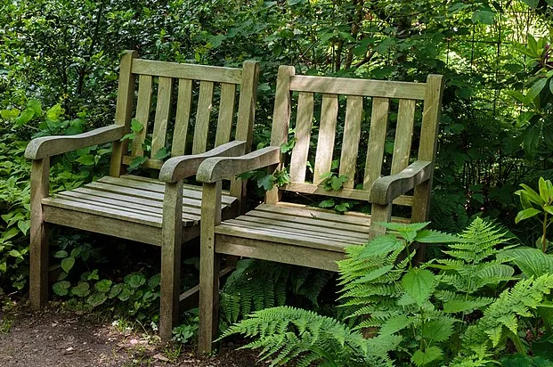 screenshot 20210726 125942