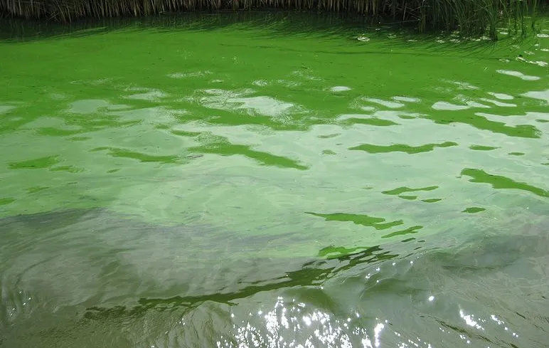 screenshot 20210803 094529