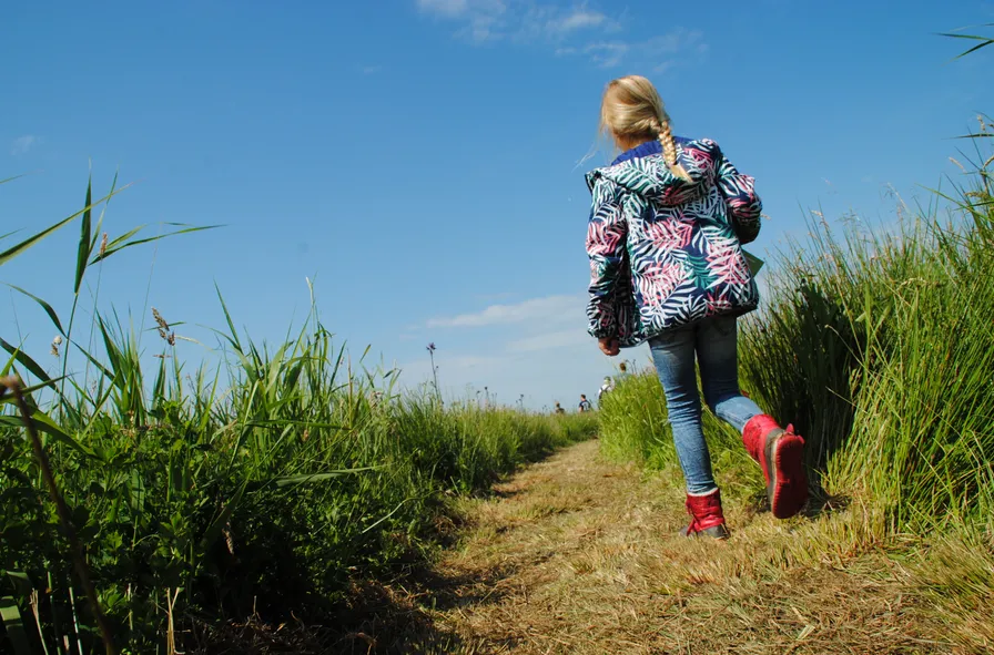 screenshot 20210803 100818